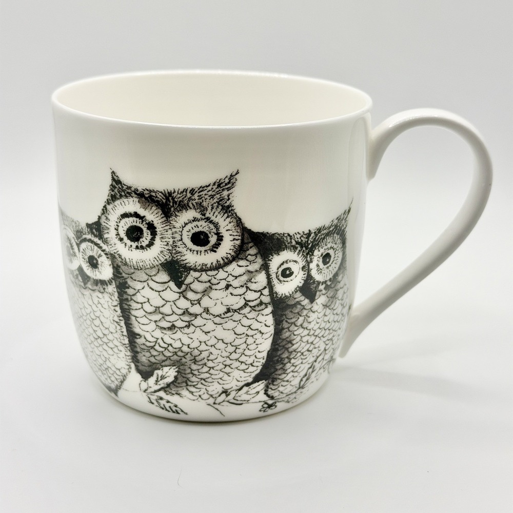 Rose of England Owls Coffee Cup Mug Fine Bone China United Kingdom